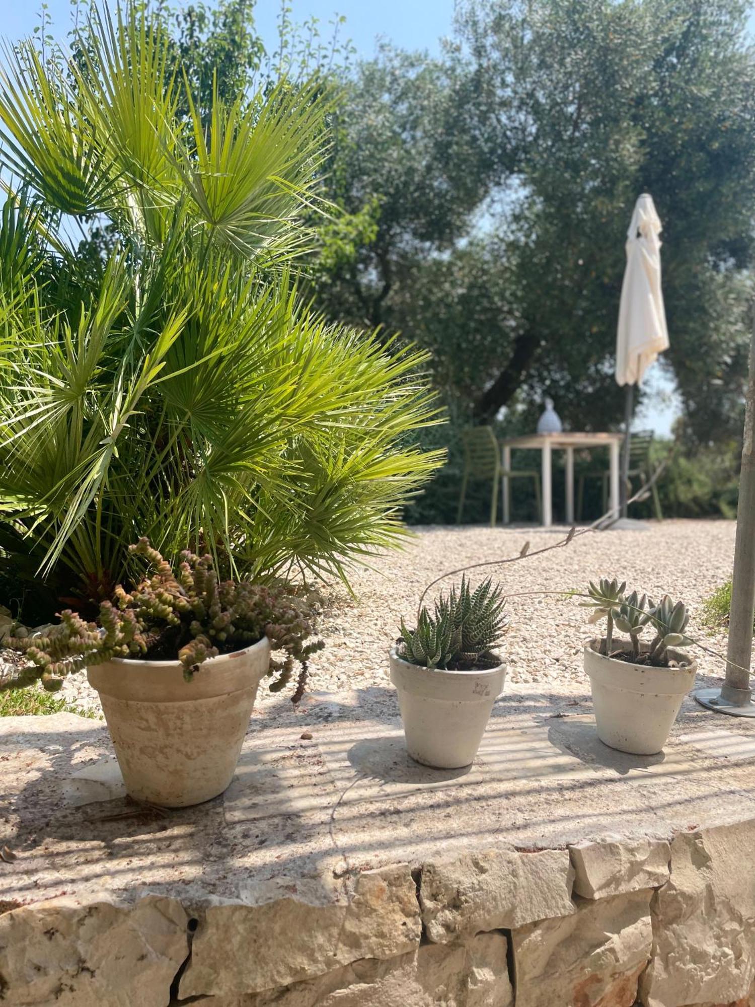 オストゥーニ Casa Della Scrittrice Bed & Breakfast 部屋 写真